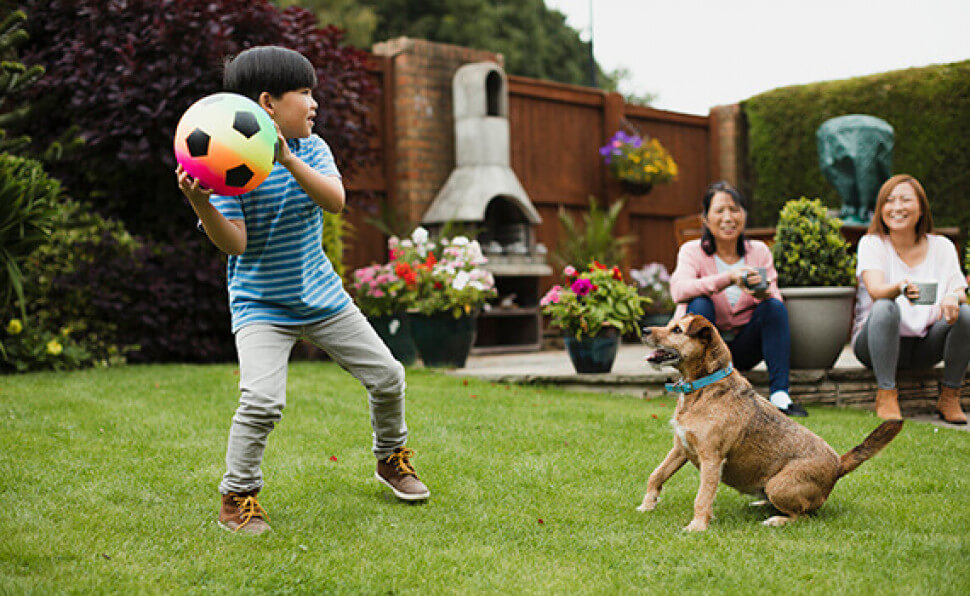 Boy playing fetch with a large ball in the backyard