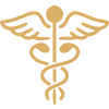Medical Icon